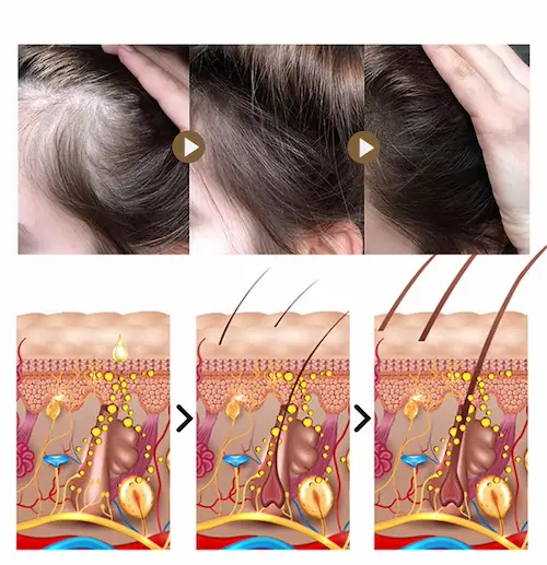 Circulation Boosting Tonics